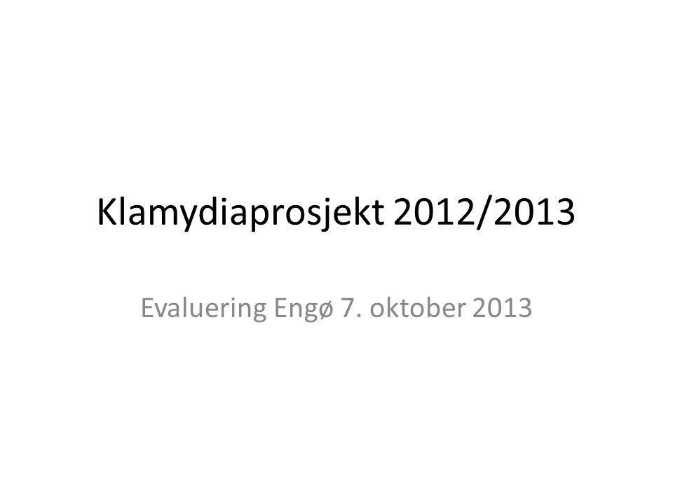 Klamydiaprosjekt 2012/2013 Evaluering Engø 7. oktober 2013