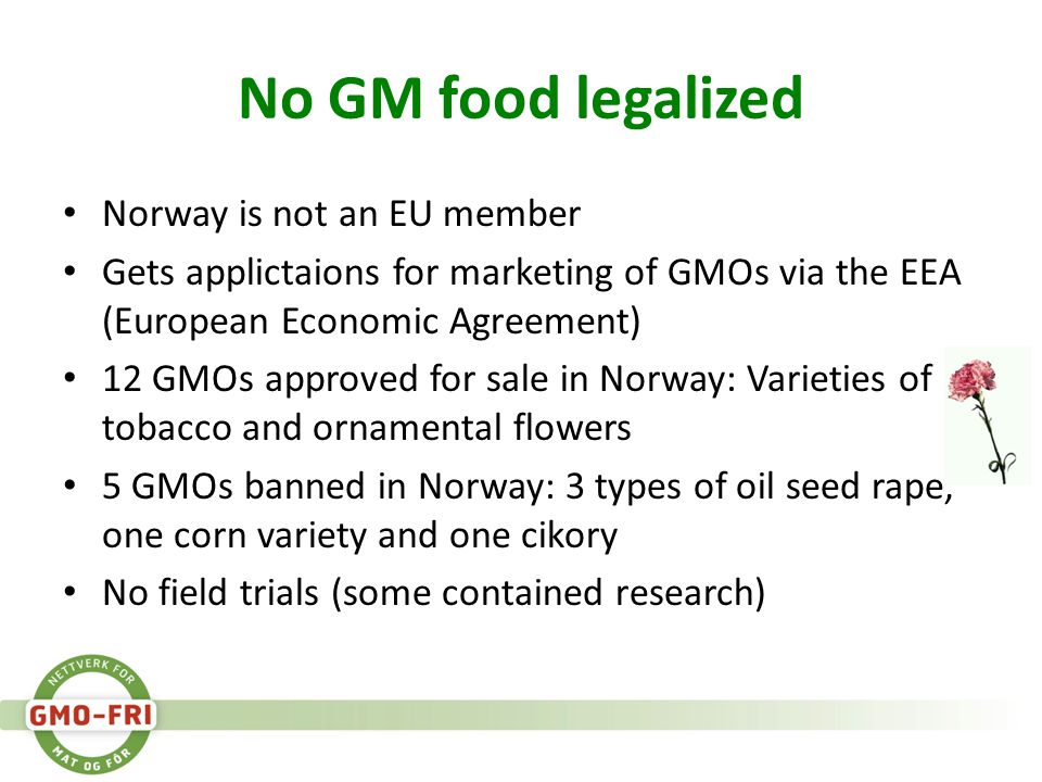 No GM food legalized • Norway is not an EU member • Gets applictaions for marketing of GMOs via the EEA (European Economic Agreement) • 12 GMOs approved for sale in Norway: Varieties of tobacco and ornamental flowers • 5 GMOs banned in Norway: 3 types of oil seed rape, one corn variety and one cikory • No field trials (some contained research)