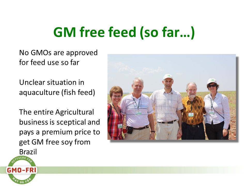 GM free feed (so far…) No GMOs are approved for feed use so far Unclear situation in aquaculture (fish feed) The entire Agricultural business is sceptical and pays a premium price to get GM free soy from Brazil