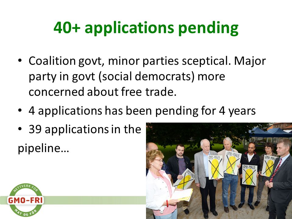 40+ applications pending • Coalition govt, minor parties sceptical.