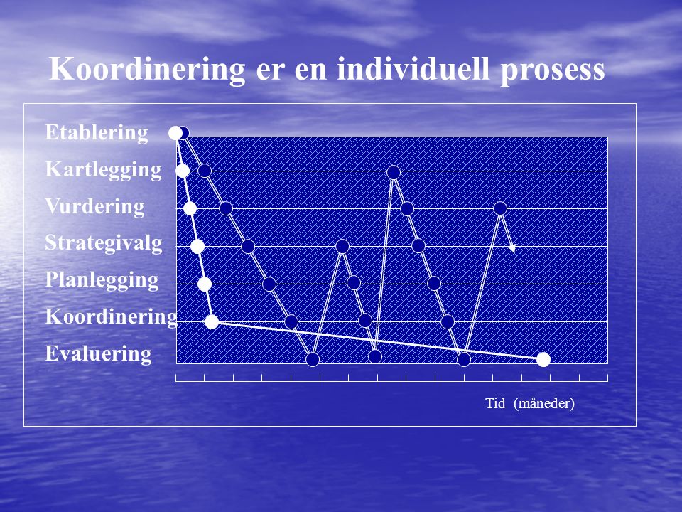 Etablering Kartlegging Vurdering Strategivalg Planlegging Koordinering Evaluering Tid (måneder) Koordinering er en individuell prosess