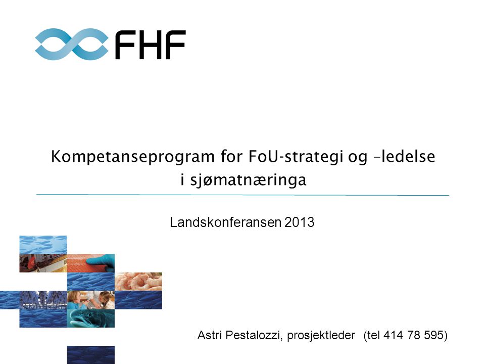 Kompetanseprogram for FoU-strategi og –ledelse i sjømatnæringa Landskonferansen 2013 Astri Pestalozzi, prosjektleder (tel )
