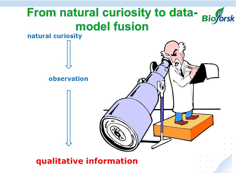 natural curiosity observation qualitative information