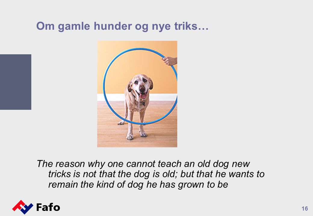 Om gamle hunder og nye triks… The reason why one cannot teach an old dog new tricks is not that the dog is old; but that he wants to remain the kind of dog he has grown to be 16
