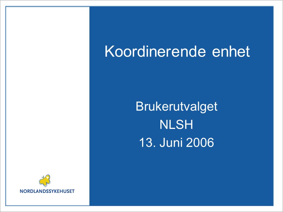 Koordinerende enhet Brukerutvalget NLSH 13. Juni 2006