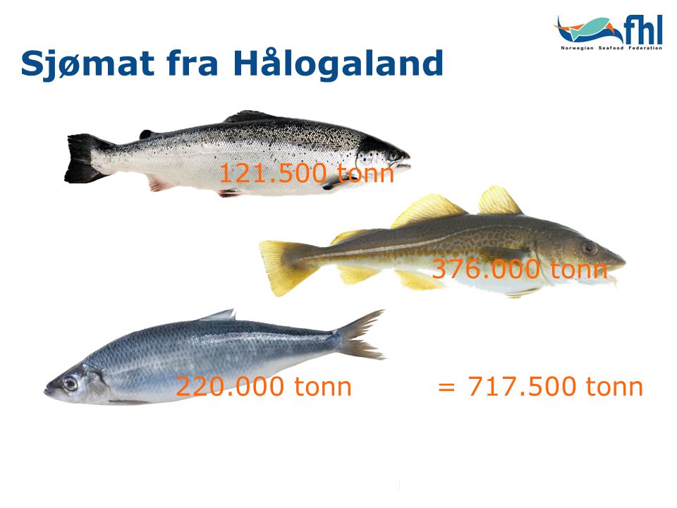 Sjømat fra Hålogaland tonn tonn tonn= tonn