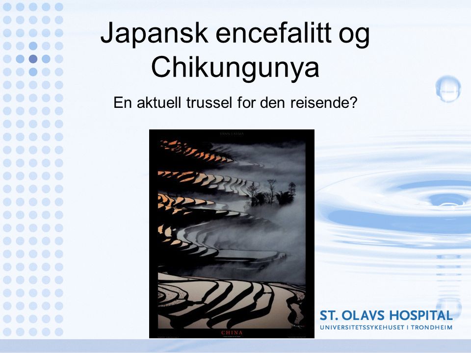 Japansk encefalitt og Chikungunya En aktuell trussel for den reisende