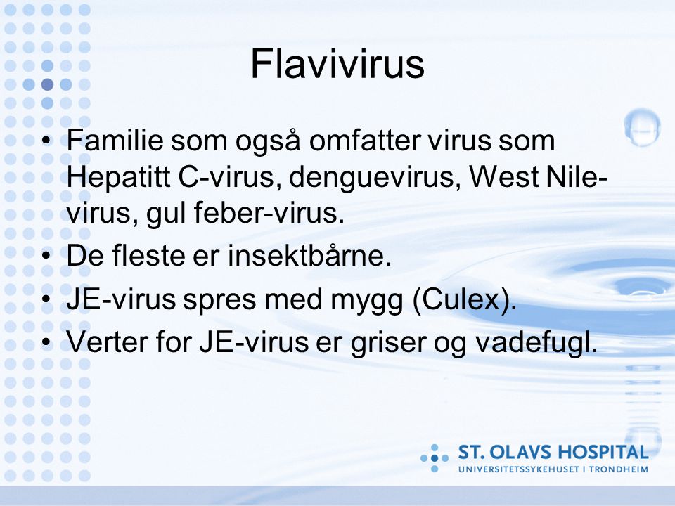 Flavivirus •Familie som også omfatter virus som Hepatitt C-virus, denguevirus, West Nile- virus, gul feber-virus.