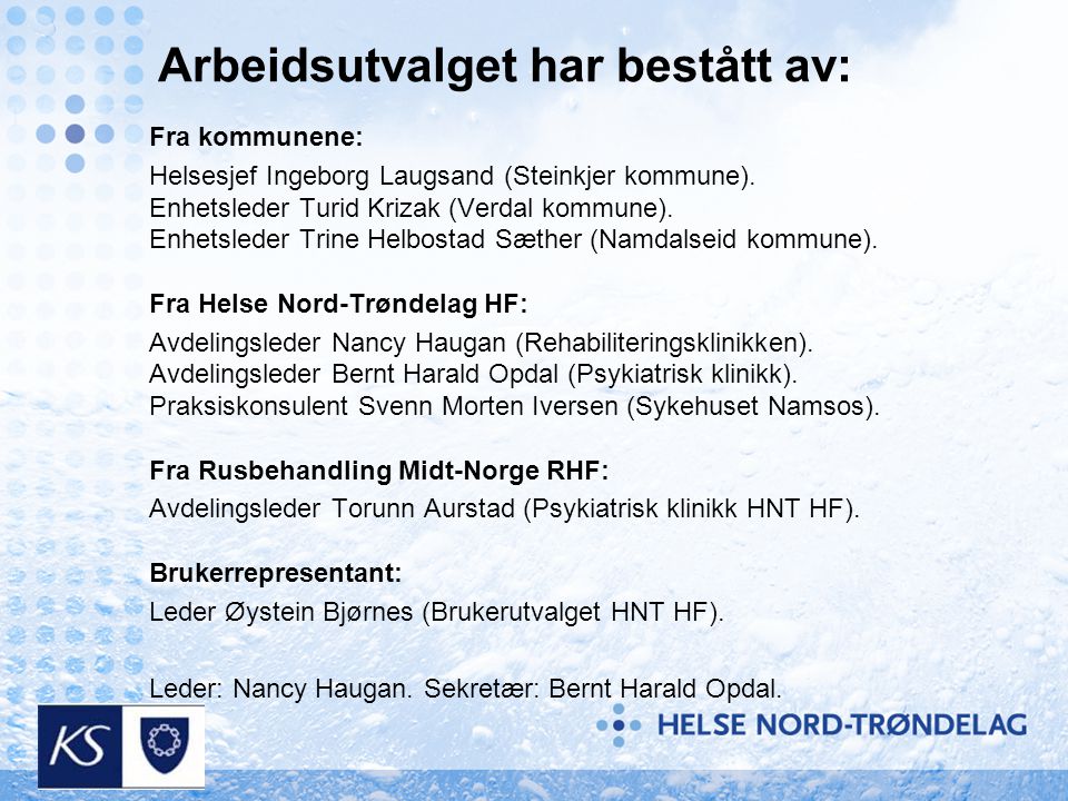 Arbeidsutvalget har bestått av: Fra kommunene: Helsesjef Ingeborg Laugsand (Steinkjer kommune).