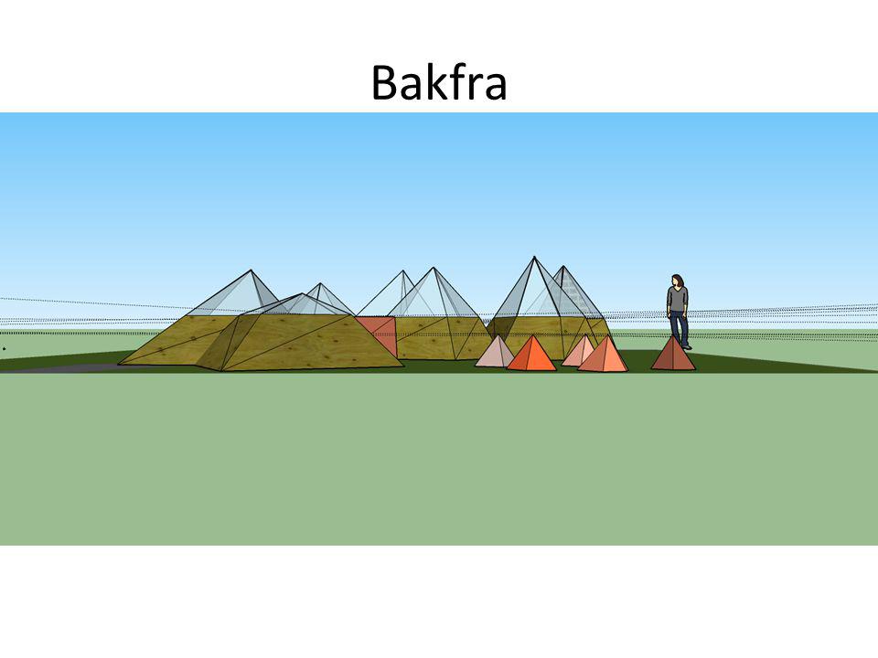 Bakfra