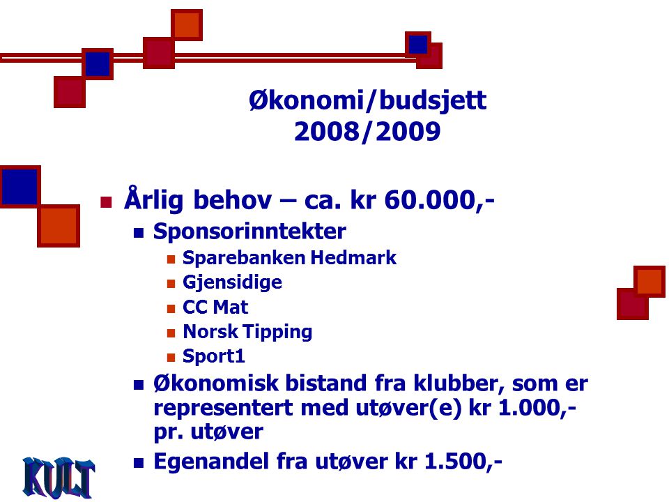 Økonomi/budsjett 2008/2009  Årlig behov – ca.