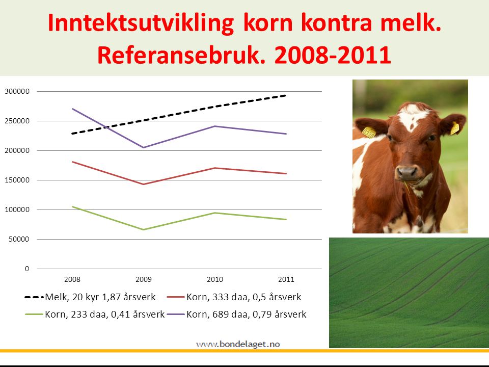 Inntektsutvikling korn kontra melk. Referansebruk