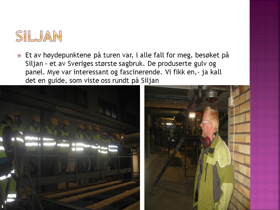  Et av høydepunktene på turen var, i alle fall for meg, besøket på Siljan – et av Sveriges største sagbruk.
