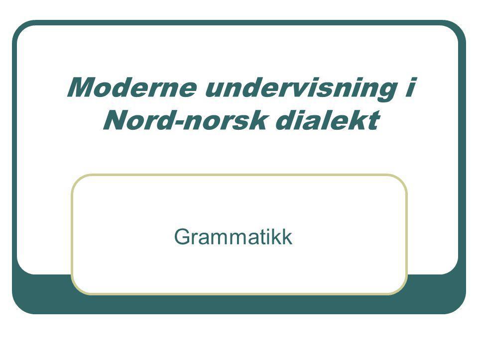 Moderne undervisning i Nord-norsk dialekt Grammatikk