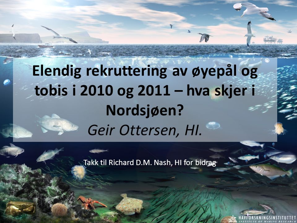 Elendig rekruttering av øyepål og tobis i 2010 og 2011 – hva skjer i Nordsjøen.