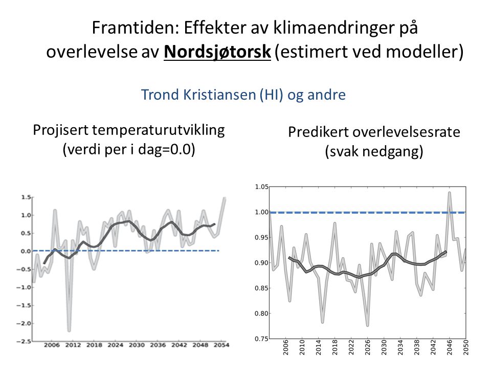 Framtiden: Effekter av klimaendringer på overlevelse av Nordsjøtorsk (estimert ved modeller) Trond Kristiansen (HI) og andre Predikert overlevelsesrate (svak nedgang) Projisert temperaturutvikling (verdi per i dag=0.0)