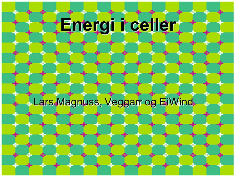Energi i celler Lars Magnuss, Veggarr og EiWind