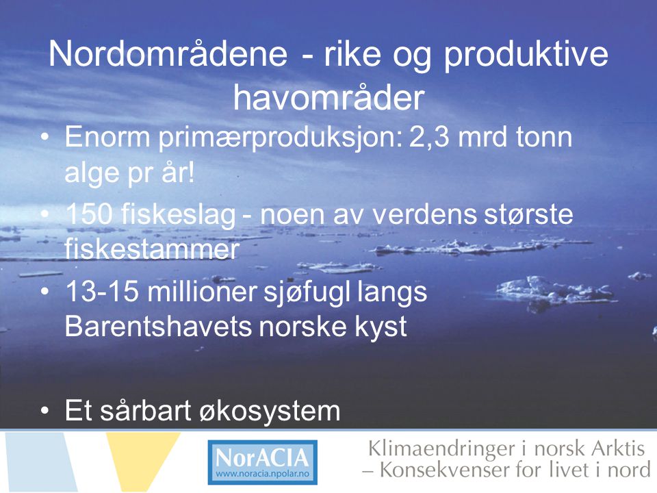 limaendringer i norsk Arktis – Knsekvenser for livet i nord Nordområdene - rike og produktive havområder Enorm primærproduksjon: 2,3 mrd tonn alge pr år.