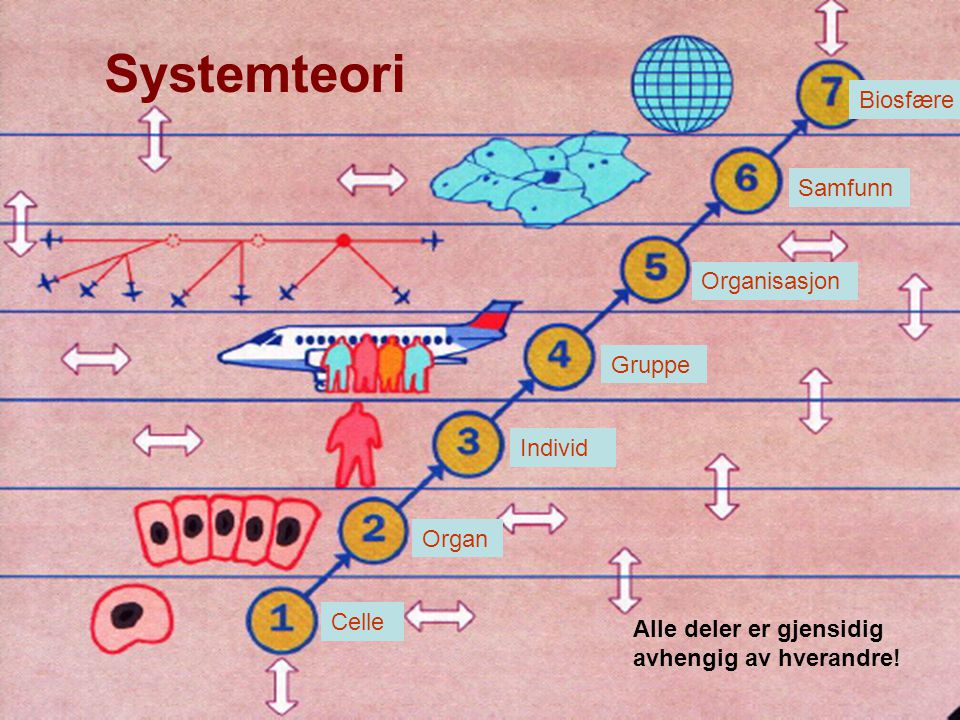 Systemteori Alle deler er gjensidig avhengig av hverandre.