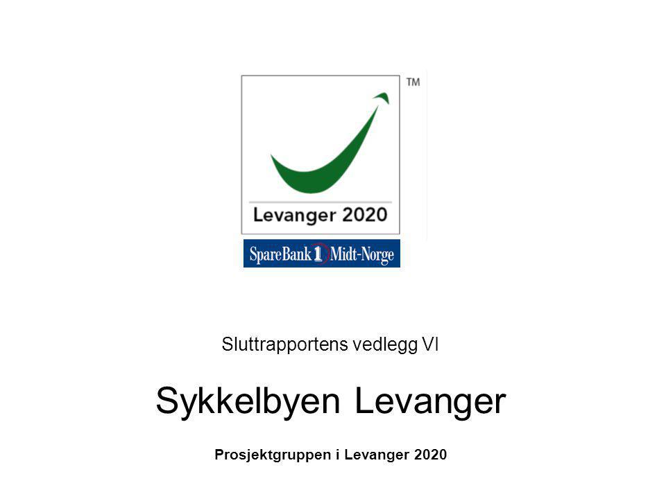 Sluttrapportens vedlegg VI Sykkelbyen Levanger Prosjektgruppen i Levanger 2020