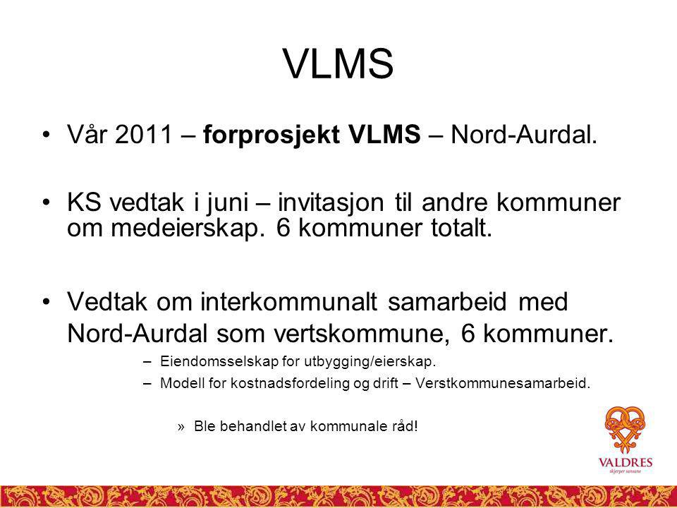 VLMS Vår 2011 – forprosjekt VLMS – Nord-Aurdal.