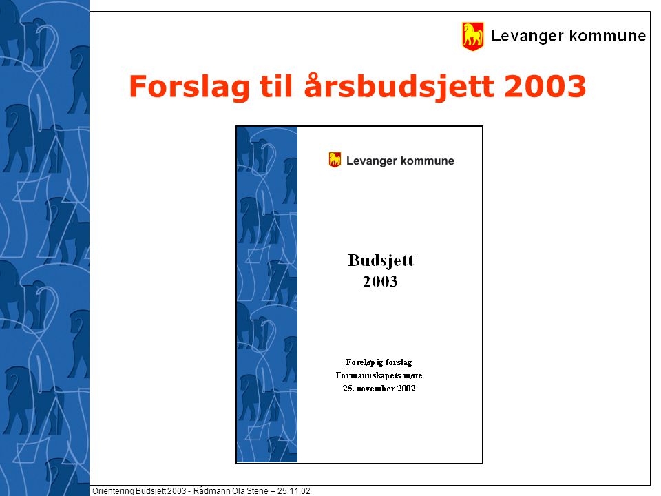 Orientering Budsjett Rådmann Ola Stene – Forslag til årsbudsjett 2003