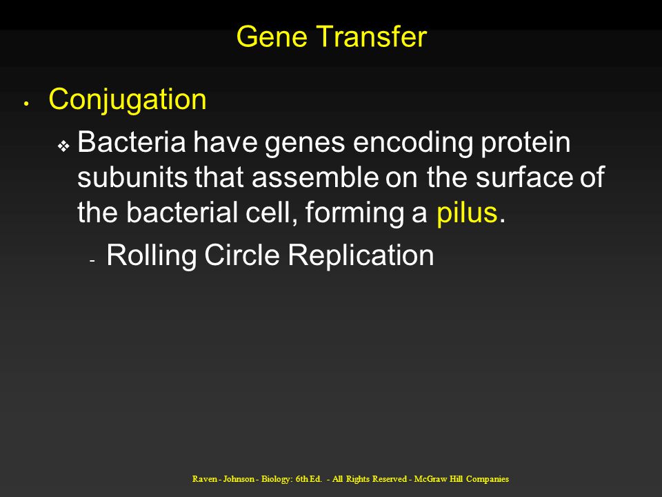 Gene Transfer Conjugation  Bacteria have genes encoding protein subunits that assemble on the surface of the bacterial cell, forming a pilus.