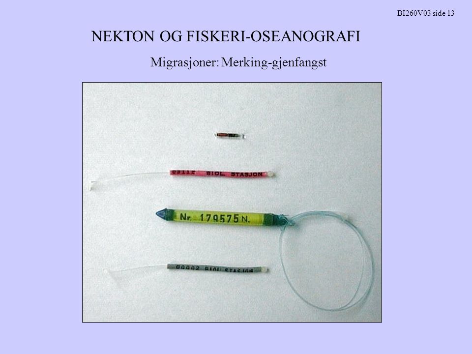 NEKTON OG FISKERI-OSEANOGRAFI BI260V03 side 13 Migrasjoner: Merking-gjenfangst