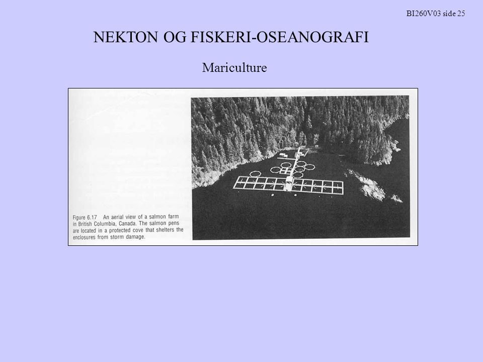NEKTON OG FISKERI-OSEANOGRAFI BI260V03 side 25 Mariculture