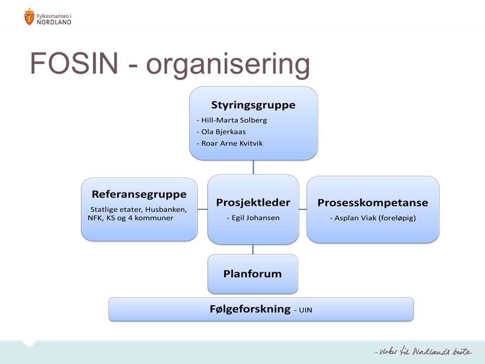 FOSIN - organisering