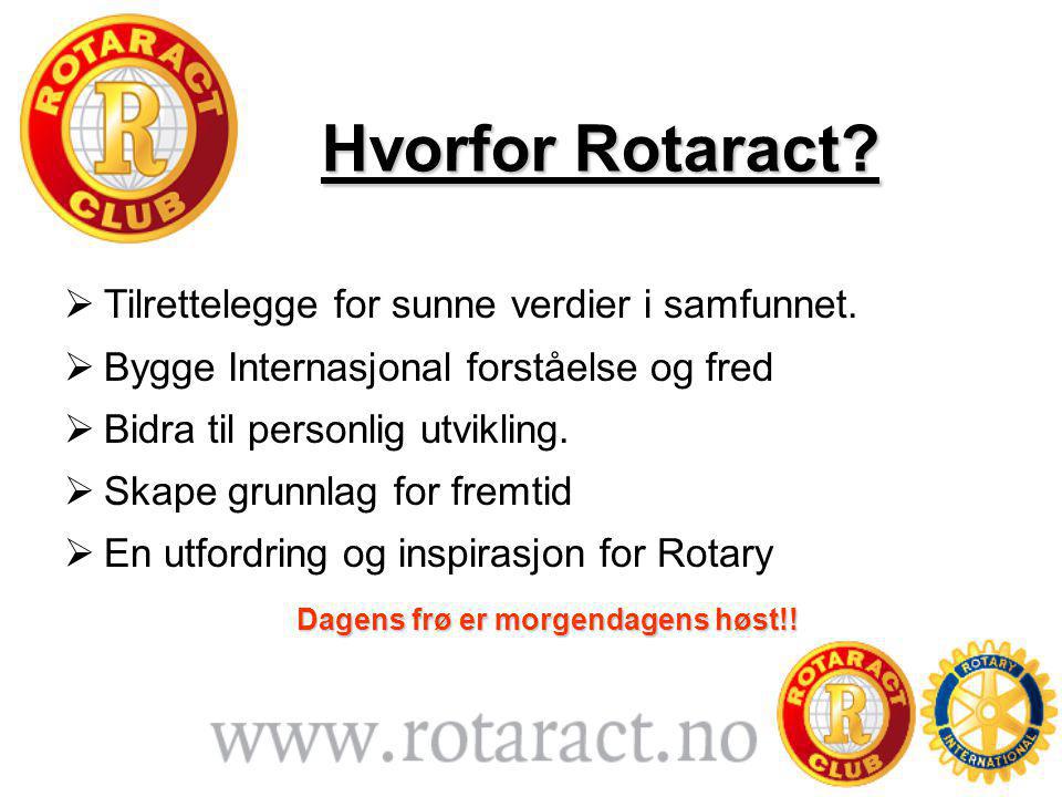 Hvorfor Rotaract.  Tilrettelegge for sunne verdier i samfunnet.