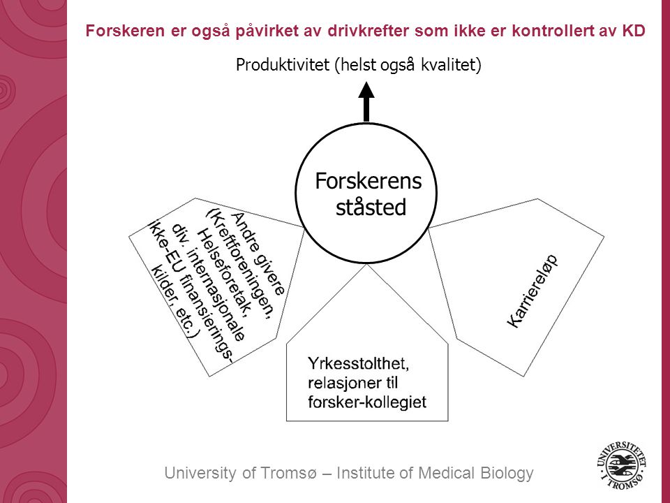 University of Tromsø – Institute of Medical Biology Produktivitet (helst også kvalitet) Forskerens ståsted Forskeren er også påvirket av drivkrefter som ikke er kontrollert av KD
