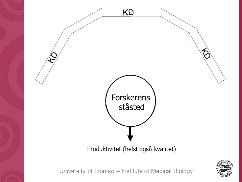 University of Tromsø – Institute of Medical Biology Produktivitet (helst også kvalitet) Forskerens ståsted