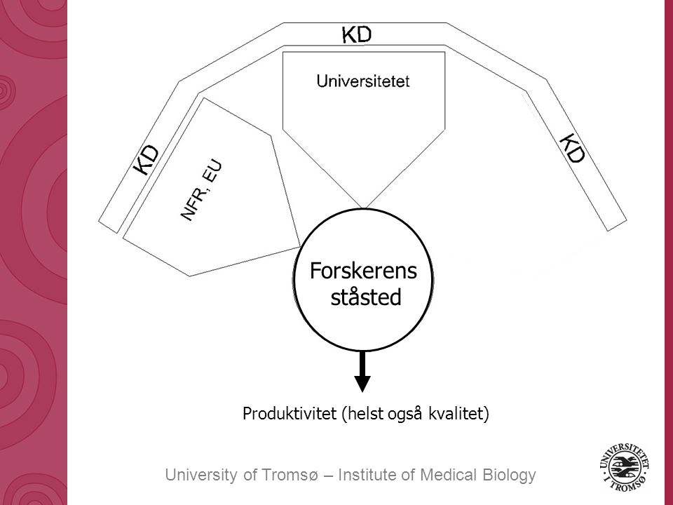 University of Tromsø – Institute of Medical Biology Produktivitet (helst også kvalitet) Forskerens ståsted