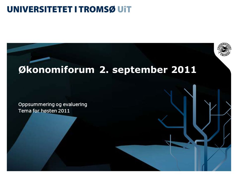 Økonomiforum 2. september 2011 Oppsummering og evaluering Tema for høsten 2011