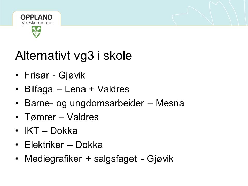 Alternativt vg3 i skole Frisør - Gjøvik Bilfaga – Lena + Valdres Barne- og ungdomsarbeider – Mesna Tømrer – Valdres IKT – Dokka Elektriker – Dokka Mediegrafiker + salgsfaget - Gjøvik