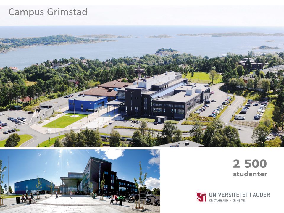 Campus Grimstad studenter
