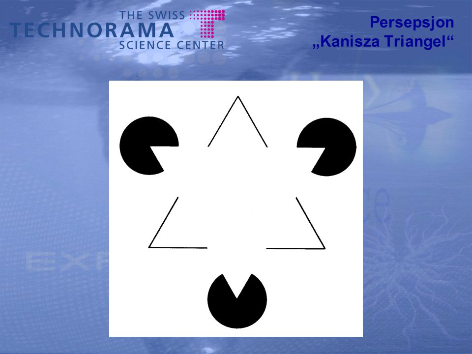Persepsjon „Kanisza Triangel