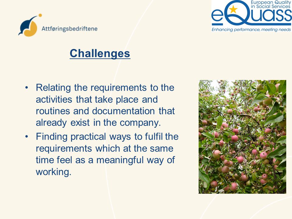 Challenges Relating the requirements to the activities that take place and routines and documentation that already exist in the company.