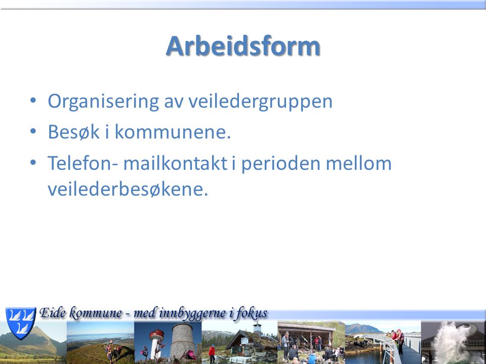Arbeidsform Organisering av veiledergruppen Besøk i kommunene.