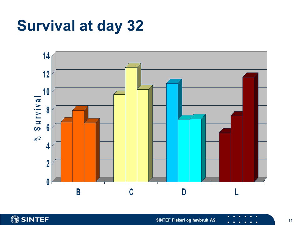 SINTEF Fiskeri og havbruk AS 11 Survival at day 32