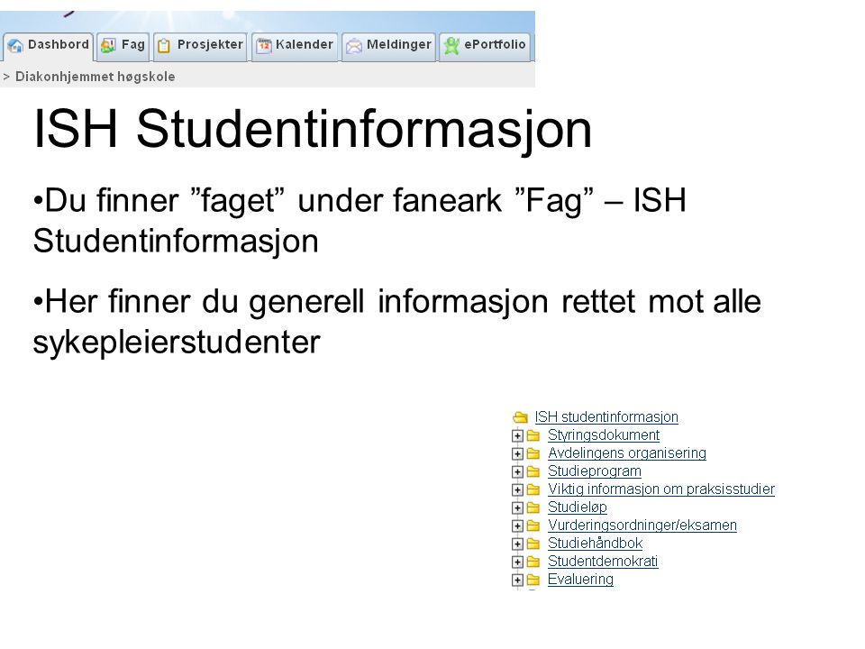 ISH Studentinformasjon Du finner faget under faneark Fag – ISH Studentinformasjon Her finner du generell informasjon rettet mot alle sykepleierstudenter