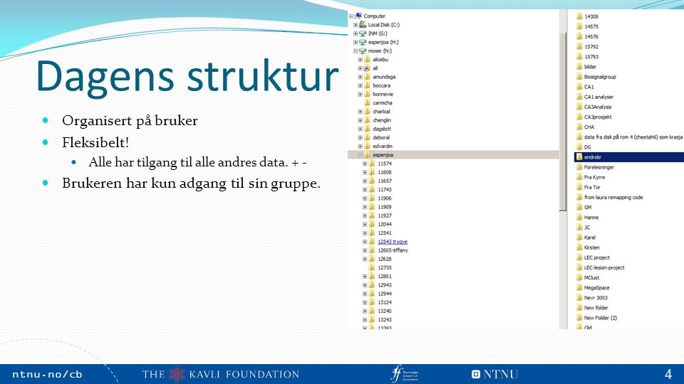 NTNU, May 2009 ntnu.no/cb m 4 Dagens struktur Organisert på bruker Fleksibelt.