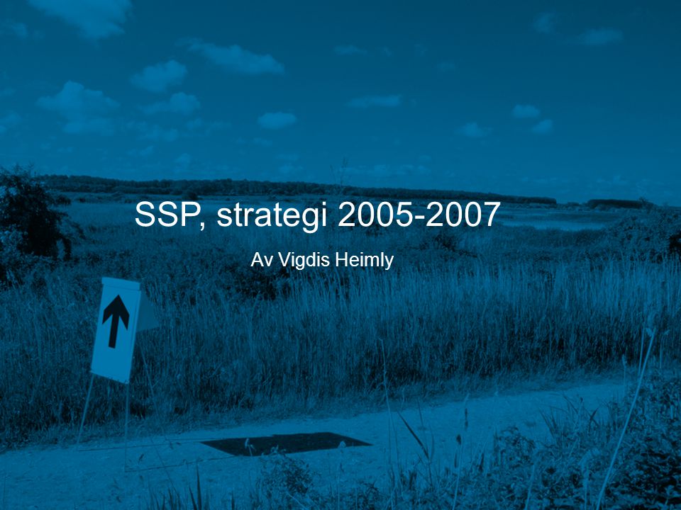 SSP, strategi Av Vigdis Heimly