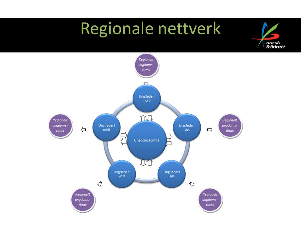 Regionale nettverk