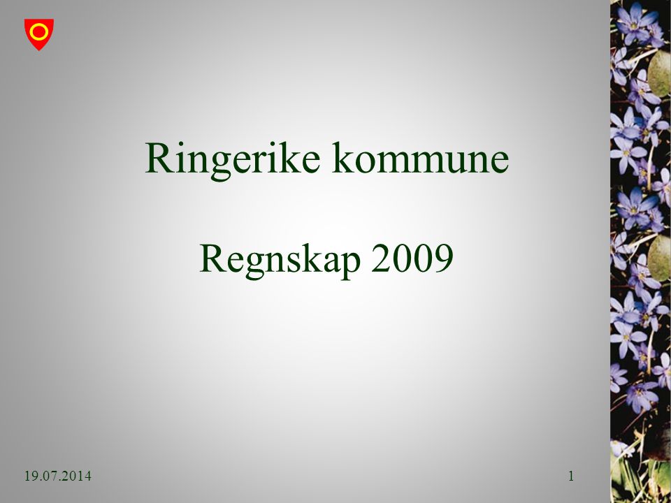 Ringerike kommune Regnskap