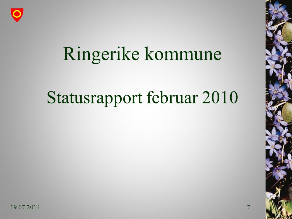 Ringerike kommune Statusrapport februar